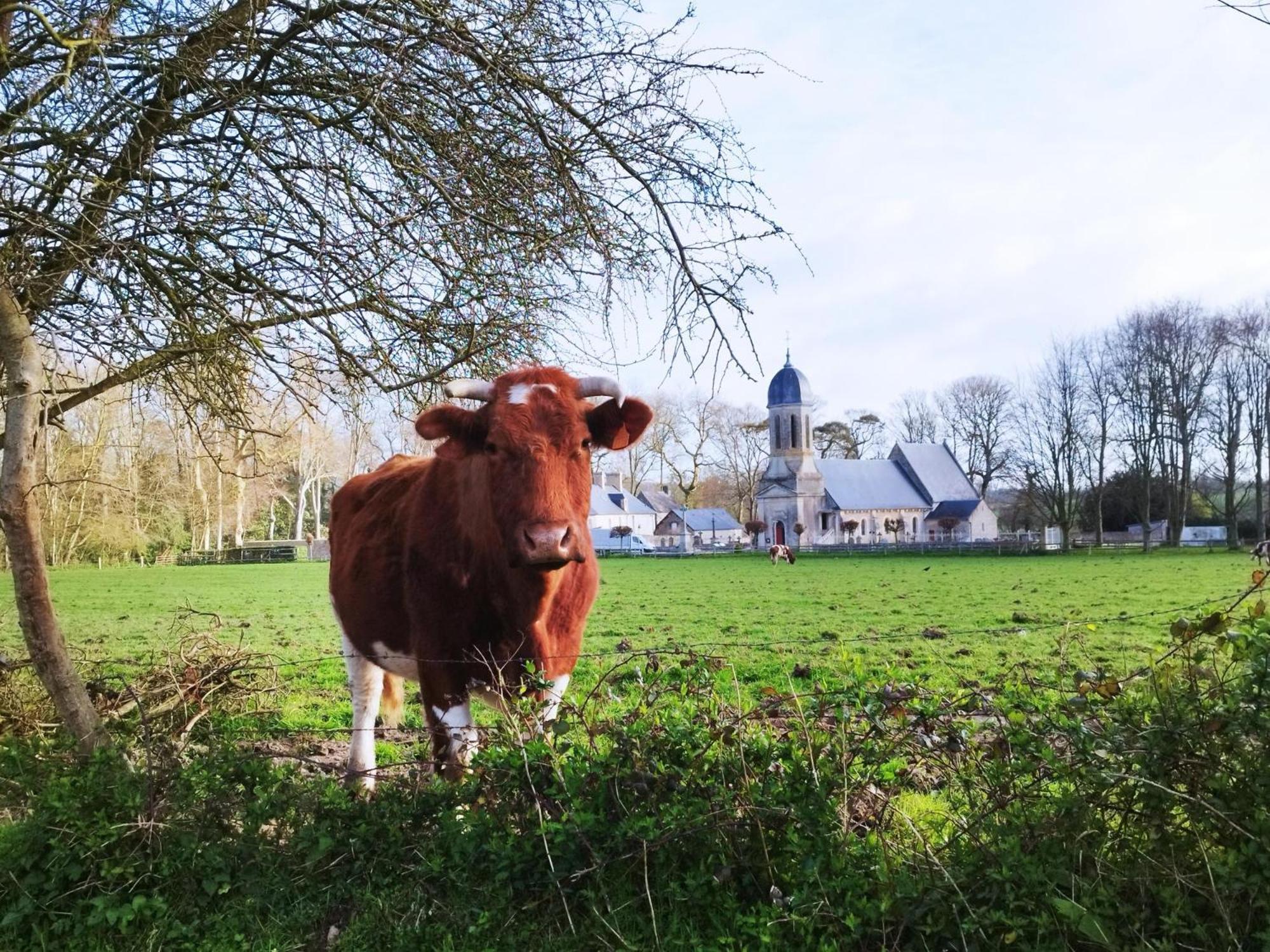 Comme A La "Maisons" Maisons (Calvados) Exterior foto